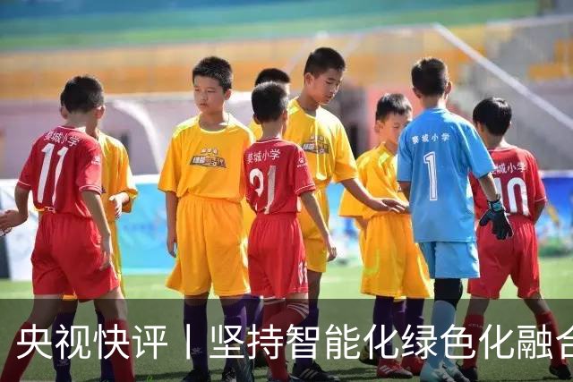 央视快评丨坚持智能化绿色化融合化方向 持续做大做强先进制造业